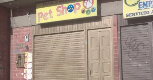 PET SHOP CALLE 42A BOGOTÁ PET SHOP CALLE 42A BOGOTÁ